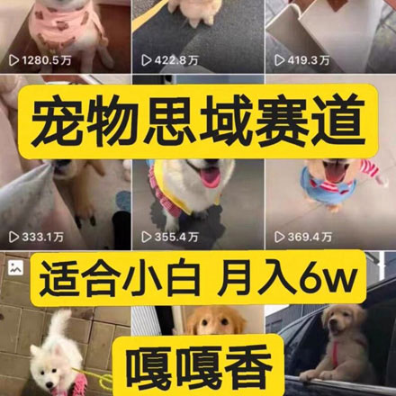 2026宠物私域玩法保姆级教程，简单易上手，让你轻松学会！