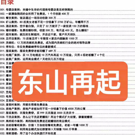 绝密！不轻易外传《236套商业模式真实案例全解析》万能商业模式合集，适合每个人